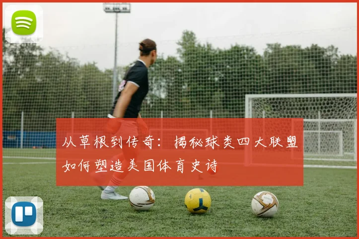 从草根到传奇：揭秘球类四大联盟如何塑造美国体育史诗