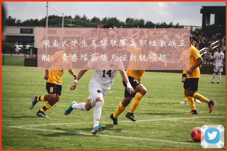 湖南大学生足球联赛高职组激战正酣，青春绿茵场见证新锐崛起