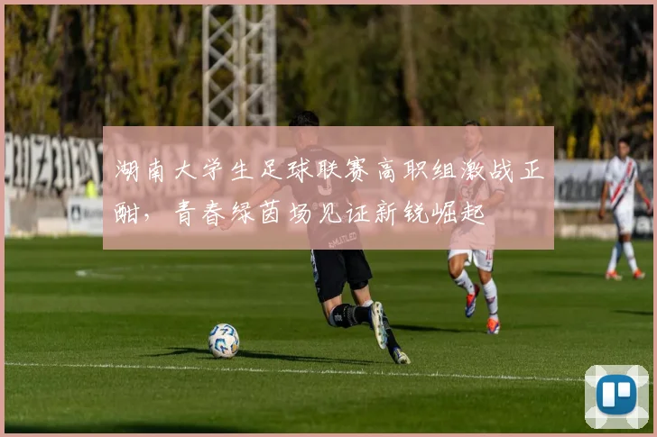 湖南大学生足球联赛高职组激战正酣，青春绿茵场见证新锐崛起